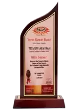 EXCELLENCE IN<br>CUSTOMER SERVICE<br>AWARD-2018