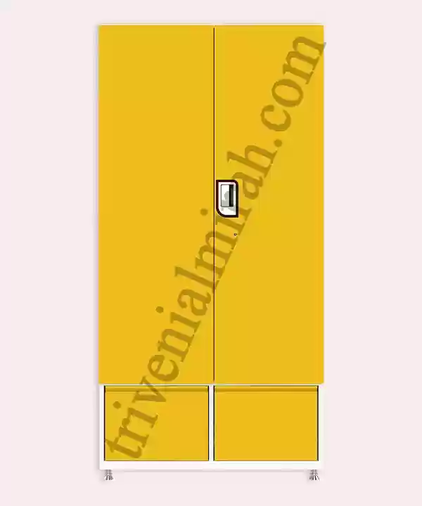 MOHINI-3 MODEL